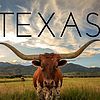Amrock Texas