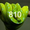 810 7th Ave FL 22-23 Meetings