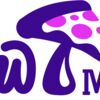 Mellow Mushroom - Test Kitchen