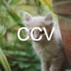 CityView FL 13-14 Meetings