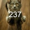 237 Park Ave FL 1 Meetings