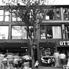 OTTO HQ