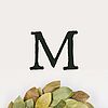Magnolia Home