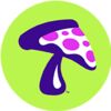 Mellow Mushroom - Aiken