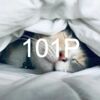 101 Park Ave FL 1-2 Meetings